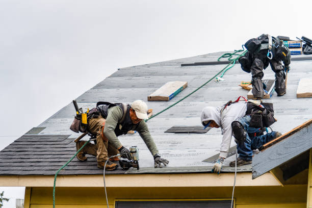 Professional Storm Damage Roof Repair technician working in Island Lake, IL